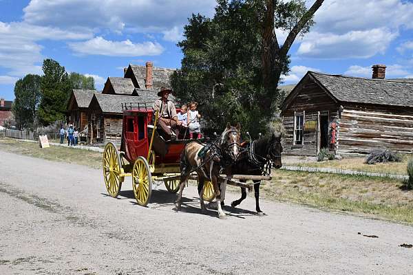 brown-cowboy-mounted-shooting-horse