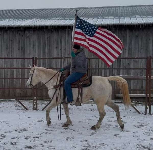 trail-riding-quarter-horse