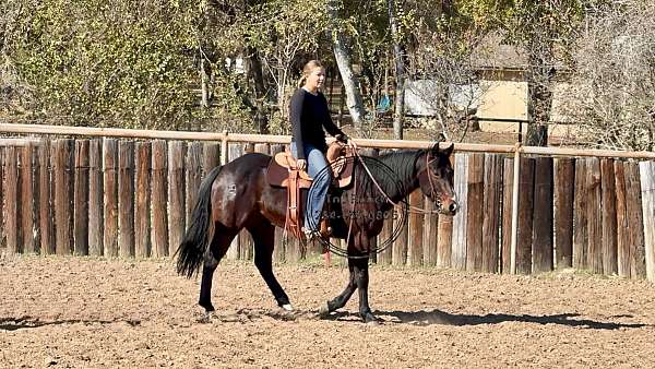 breakaway-pony-quarter