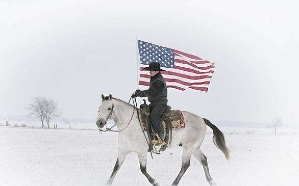 and-shoeing-gelding