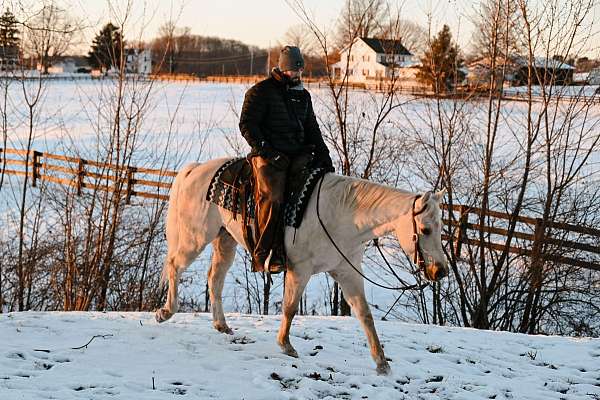 cowboy-mounted-shooting-quarter-horse