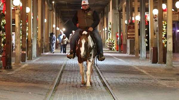 barrel-racing-quarter-horse