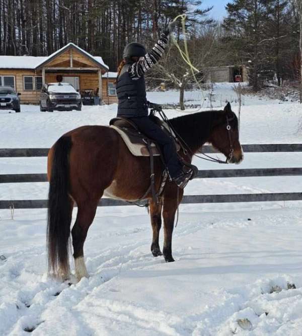 cowboy-mounted-shooting-quarter-pony