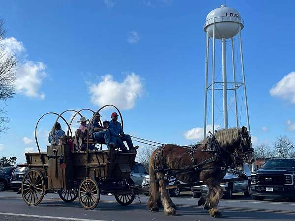 draft-horse-percheron