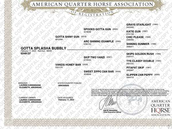 quarter-horse-for-sale