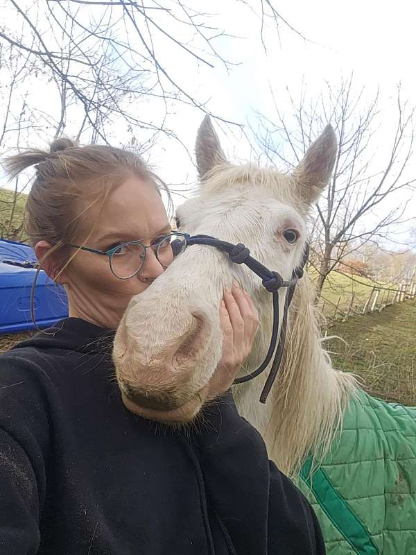 white-sport-pony