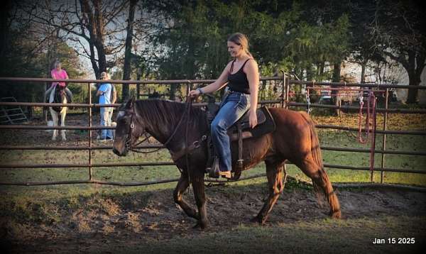 family-quarter-horse