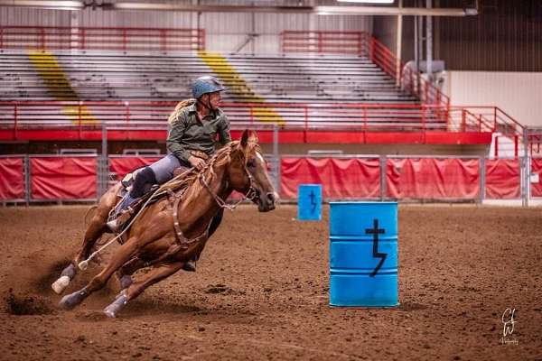 barrel-racing-quarter-horse