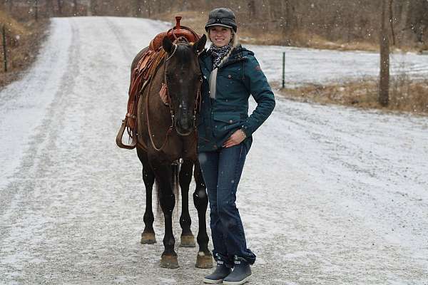 playday-quarter-horse