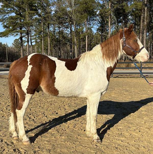 easy-to-drive-draft-horse