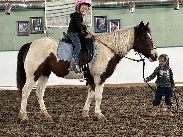 tobiano-pony-mare