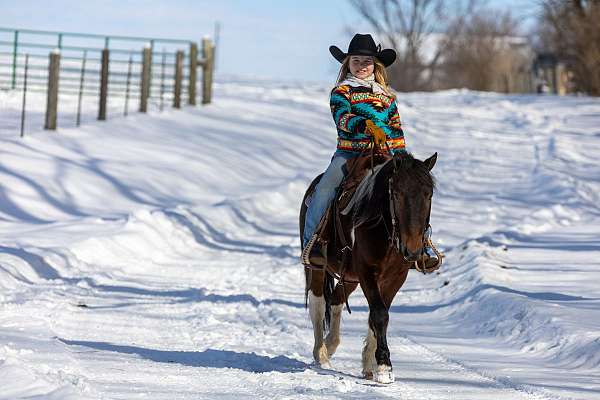 junior-rodeo-pony