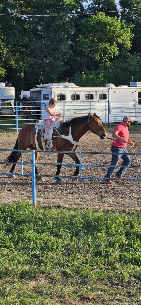 draft-horse