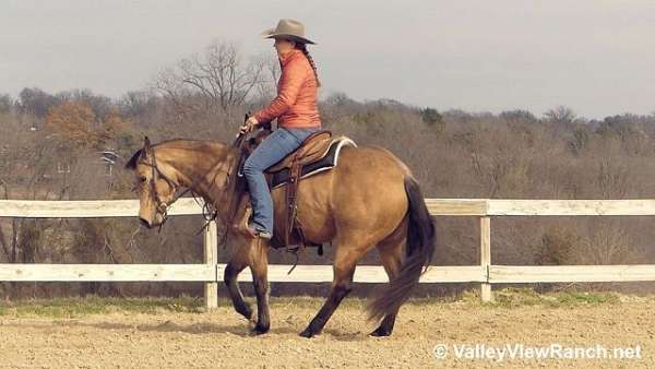 buckskin-ranch-versatility-horse