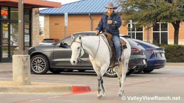 ranch-versatility-quarter-horse