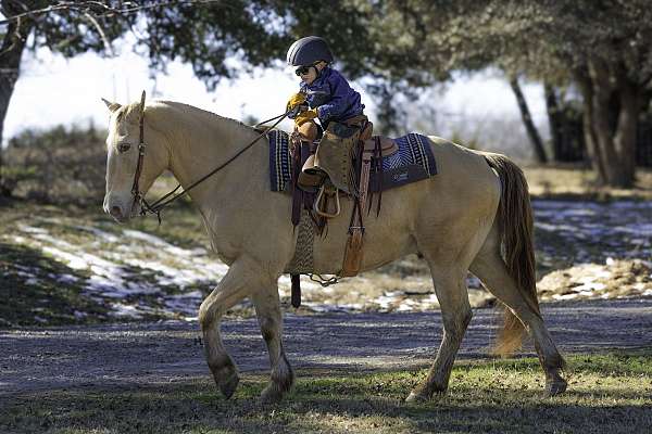 flashy-quarter-horse