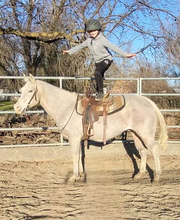 trail-riding-quarter-horse