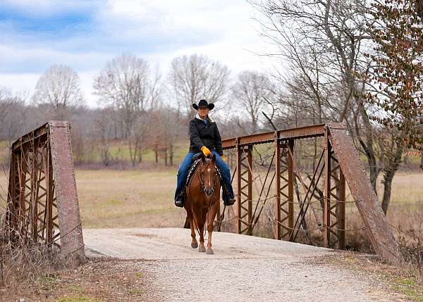 calf-roping-quarter-horse