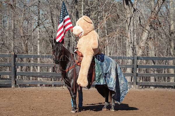 roping-quarter-horse