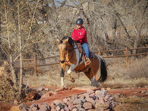 athletic-draft-horse