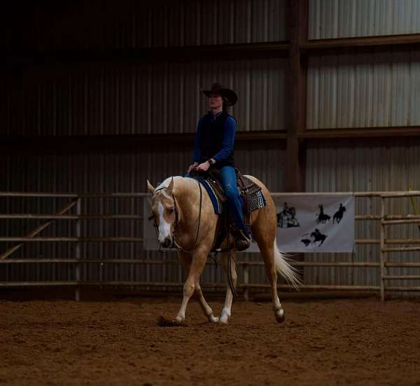 reining-quarter-horse