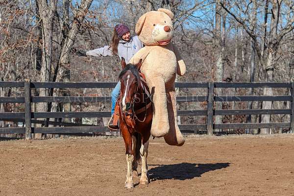 athletic-friesian-horse