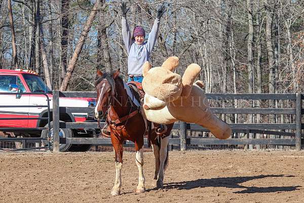 ridden-western-friesian-horse