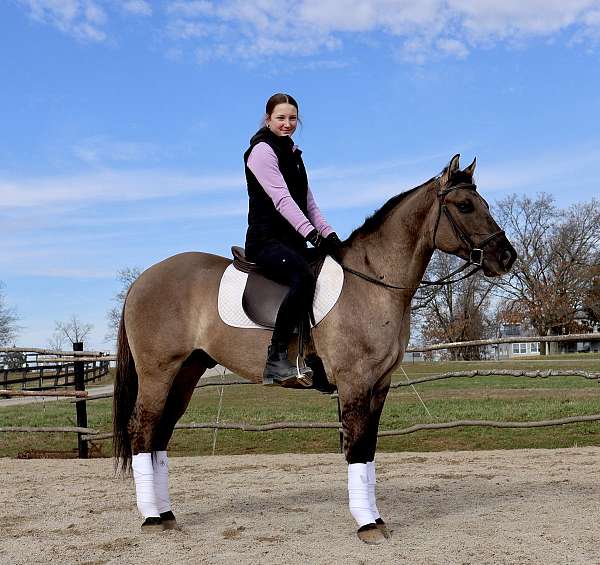 ranch-versatility-quarter-horse