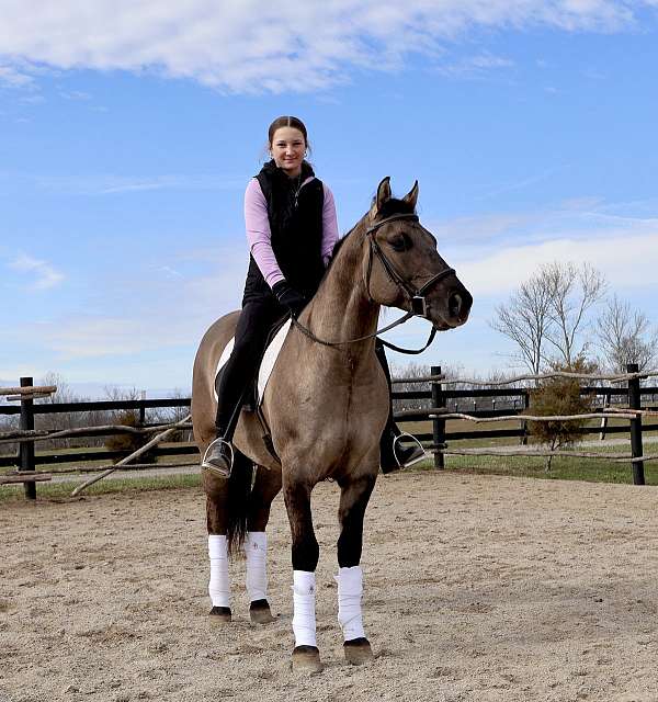 ranch-work-quarter-horse