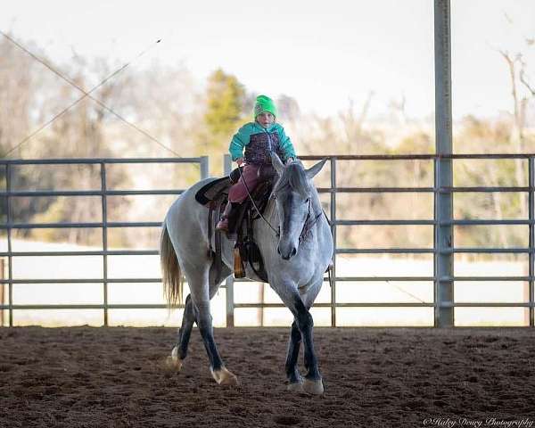 ranch-work-percheron-horse