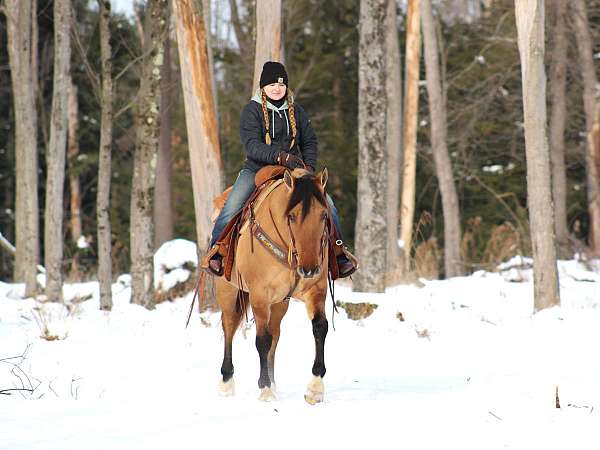 ranch-work-quarter-horse