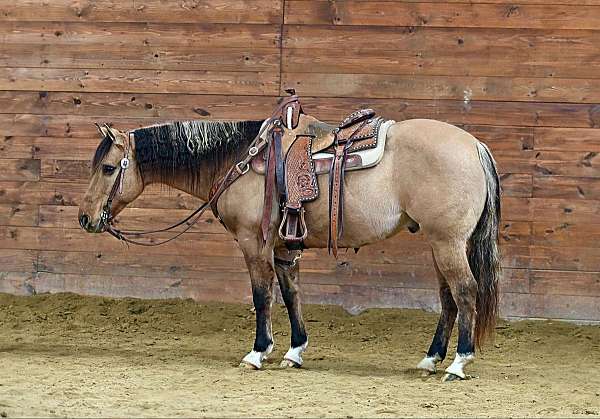 roping-quarter-horse