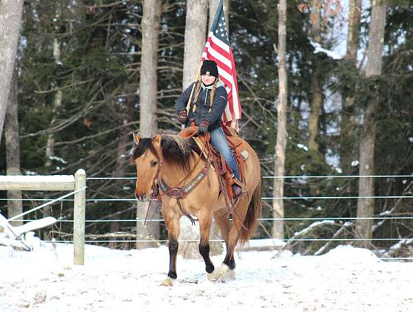 trail-riding-quarter-horse