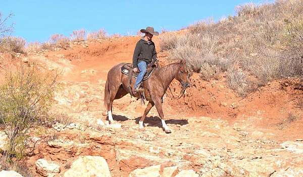 barrel-racing-quarter-horse