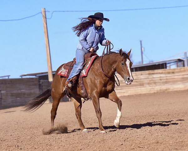 flashy-quarter-horse