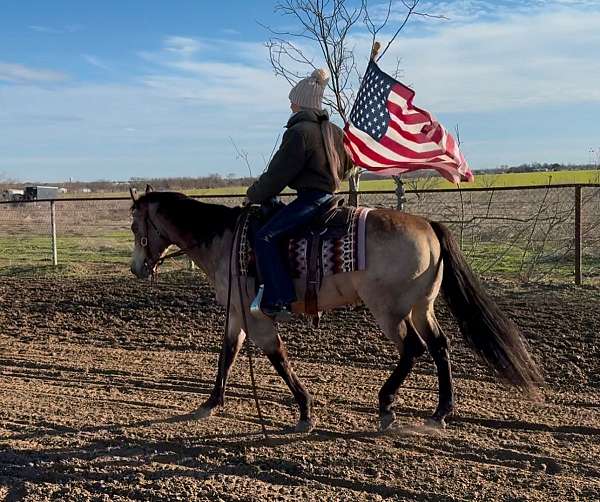 flashy-quarter-horse