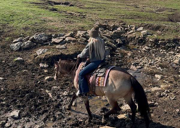 ranch-work-quarter-horse