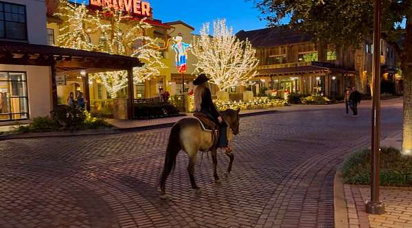 western-riding-quarter-horse