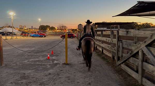 working-cattle-quarter-horse