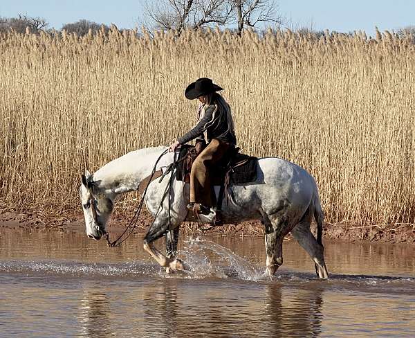 trail-riding-paint-horse