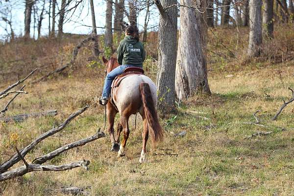 ranch-versatility-draft-horse