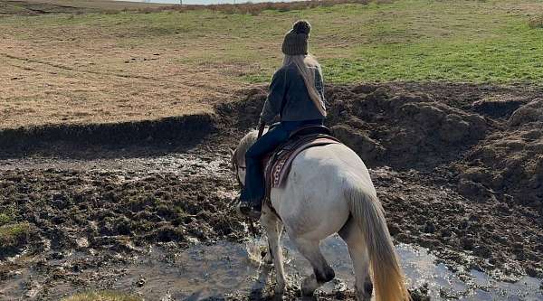 ranch-work-quarter-horse