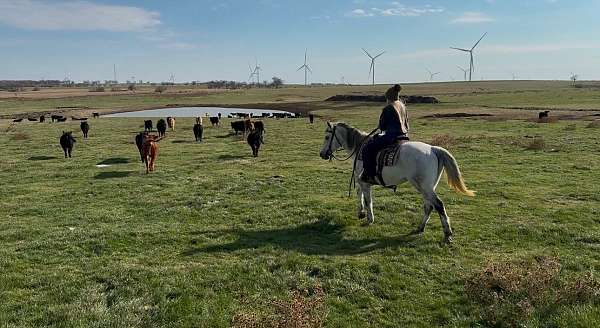 roping-quarter-horse