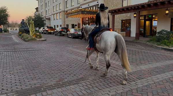 trail-riding-quarter-horse