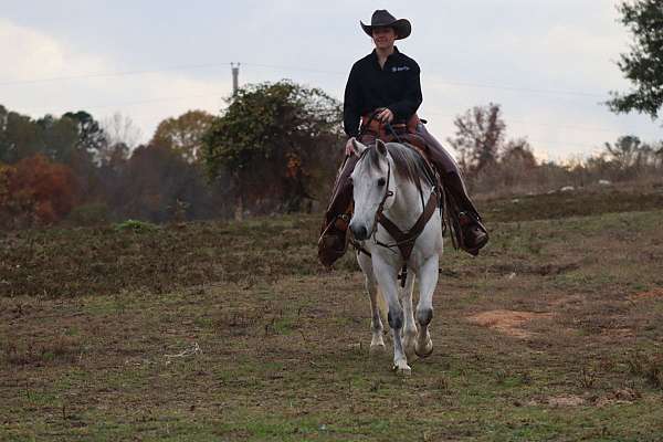 kid-safe-quarter-horse