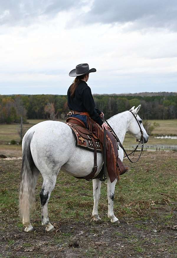 ranch-work-quarter-horse