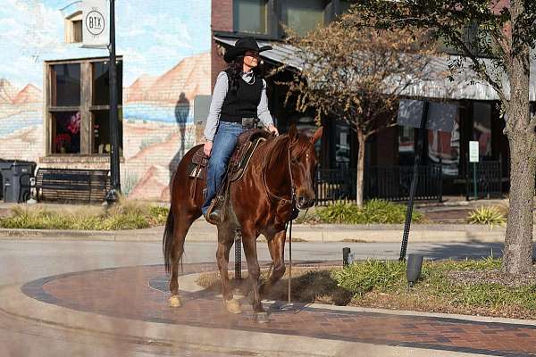 trail-riding-quarter-horse