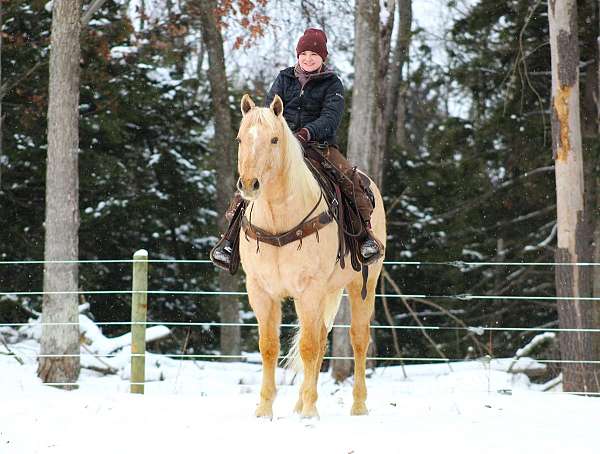 ranch-versatility-quarter-horse