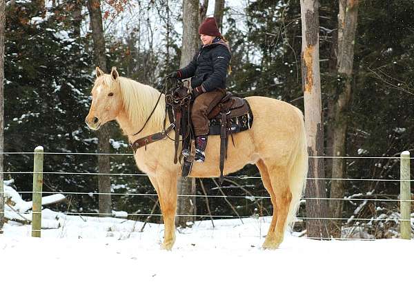 ranch-work-quarter-horse