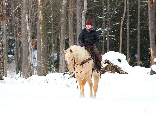 trail-riding-quarter-horse